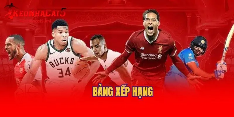 Hướng dẫn chi tiết cách xem bảng xếp hạng nhà cái